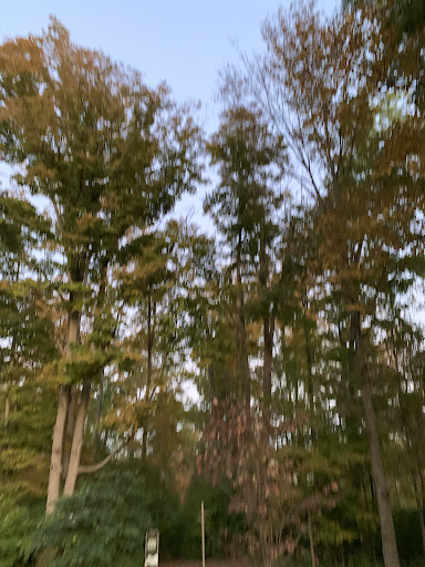 Veterans Park 20250727 015718 001