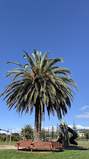 Victor Weggery Reserve Playground 20250818 170130 003