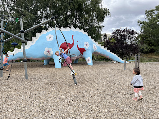 W naka Dinosaur Playground 20250818 172406 005