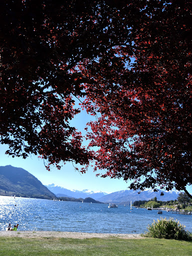 W naka Dinosaur Playground 20250818 172410 009