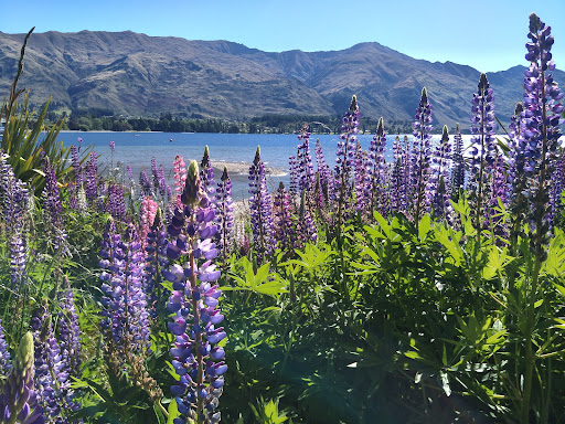 W naka Dinosaur Playground 20250818 172412 011