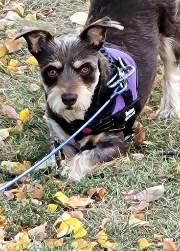 Walker Johnston Park 20250727 044156 015