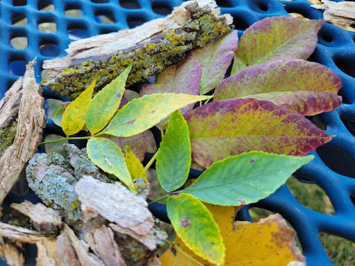 Walker Johnston Park 20250727 044158 017