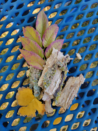 Walker Johnston Park 20250727 044159 018