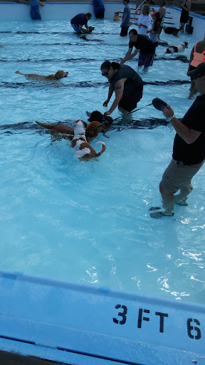 Walters Grove Park 20250727 105532 005