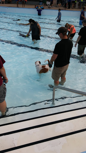 Walters Grove Park 20250727 105533 006