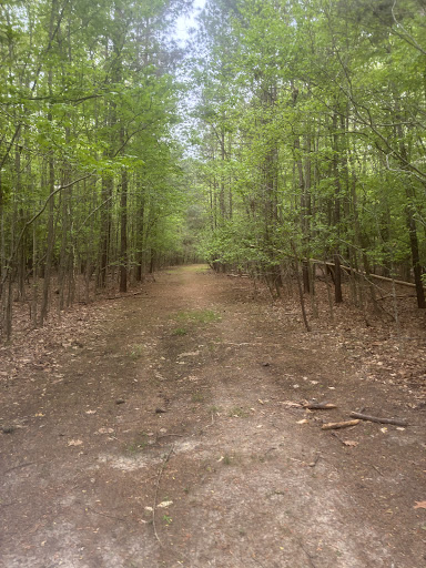 Warhill Sports Complex 20250726 234509 006