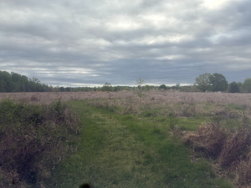 Warhill Sports Complex 20250726 234509 007