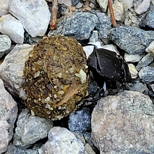 Warhill Sports Complex 20250726 234510 008