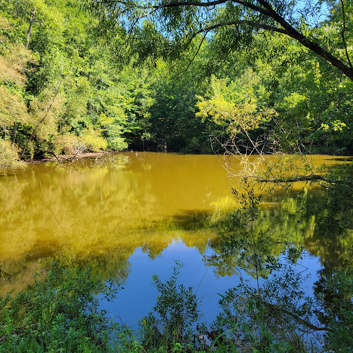 Warhill Sports Complex 20250726 234511 009