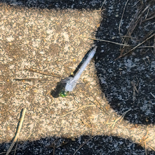 Warhill Sports Complex 20250726 234514 012