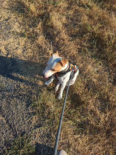 Warm Springs Community Park Playground 20250727 124840 004