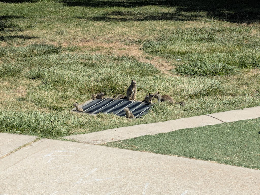Warm Springs Community Park Playground 20250727 124841 005