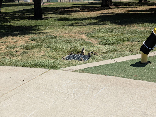 Warm Springs Community Park Playground 20250727 124842 006