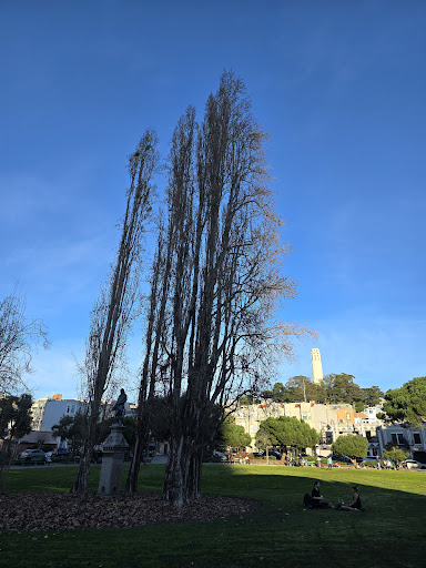 Washington Square 20250727 000535 005