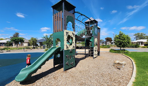 Webster Reserve 20250824 040514 005