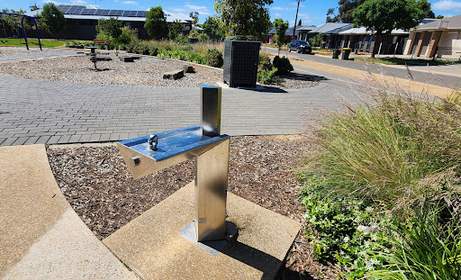 Webster Reserve 20250824 040515 007