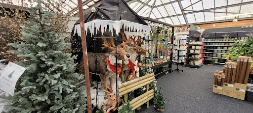 Well Park Garden Centre 20250808 144915 003