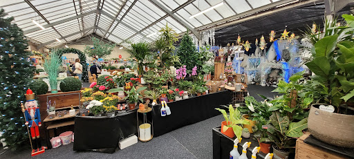 Well Park Garden Centre 20250808 144918 007