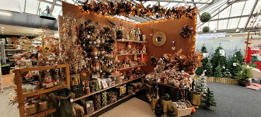 Well Park Garden Centre 20250808 144923 013