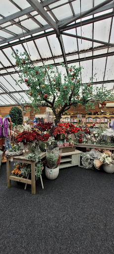 Well Park Garden Centre 20250808 144928 019
