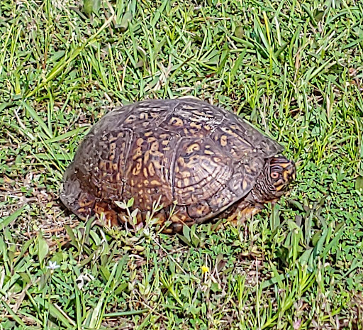 West Mobile County Park   A Mobile County Park 20250726 184542 004