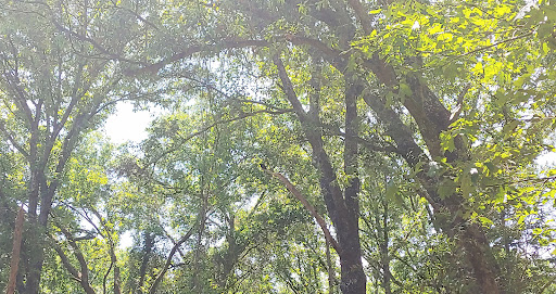 West Mobile County Park   A Mobile County Park 20250726 184545 008