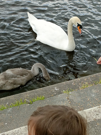 Wharfemeadows Playground Cafe 20250808 160608 008