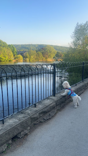 Wharfemeadows Playground Cafe 20250808 160610 010