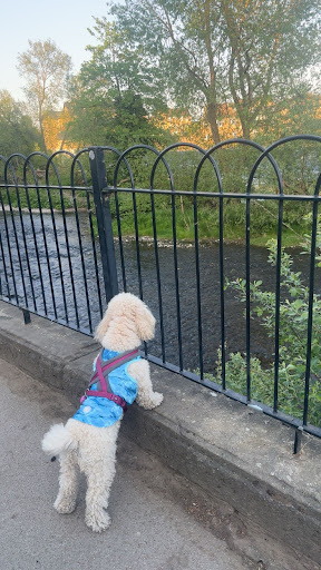 Wharfemeadows Playground Cafe 20250808 160611 011