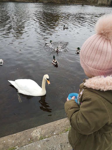 Wharfemeadows Playground Cafe 20250808 160612 012
