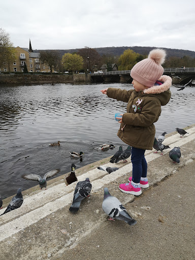 Wharfemeadows Playground Cafe 20250808 160612 013