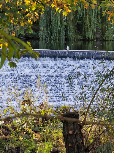 Wharfemeadows Playground Cafe 20250808 160614 015