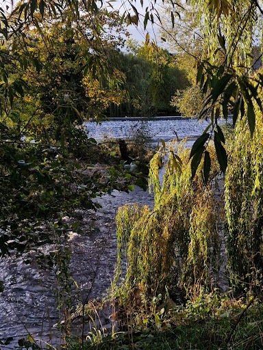 Wharfemeadows Playground Cafe 20250808 160615 016
