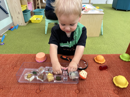 Where the Wild Things Play Hershey PA 20250727 031901 018