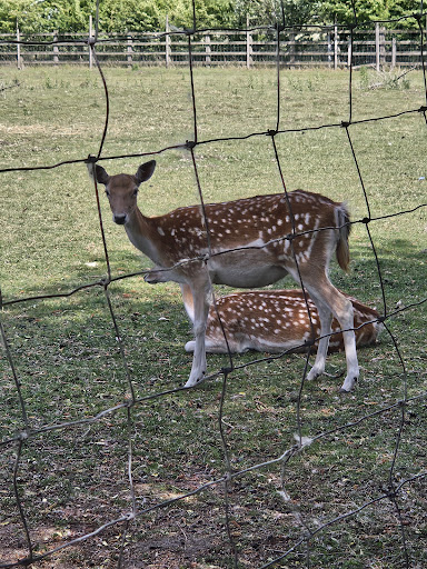 Whisby Garden Centre 20250808 165002 003