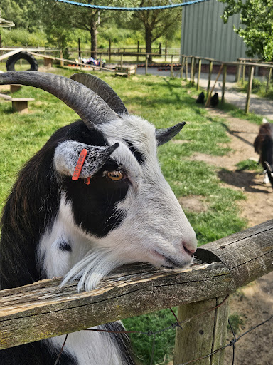 Whisby Garden Centre 20250808 165003 004