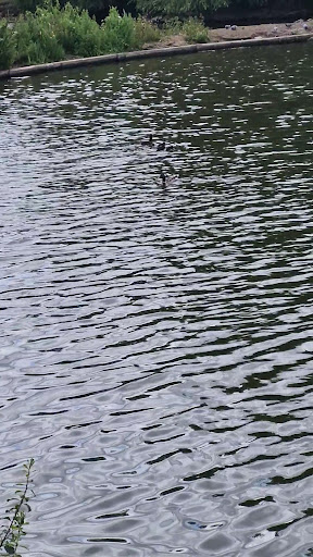 Whisby Garden Centre 20250808 165005 007