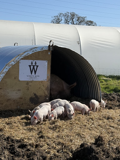 White Row Farm 20250808 193939 020