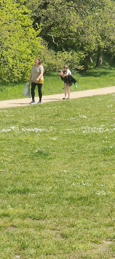 Whitecliff Playground 20250808 201836 019