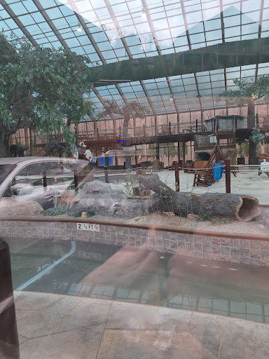 Wild Bear Falls Water Park 20250726 222418 006