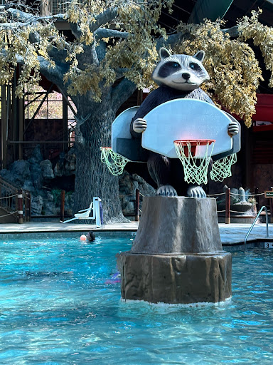 Wild Bear Falls Water Park 20250726 222419 008