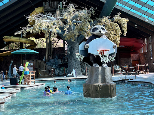 Wild Bear Falls Water Park 20250726 222420 009