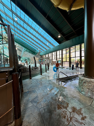 Wild Bear Falls Water Park 20250726 222421 010