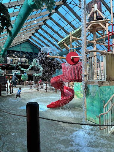 Wild Bear Falls Water Park 20250726 222429 019