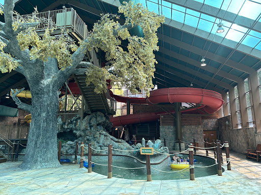 Wild Bear Falls Water Park 20250726 222430 020