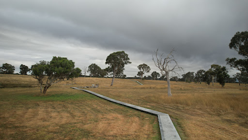 Wildbark at Mulligans Flat 20250824 001150 003