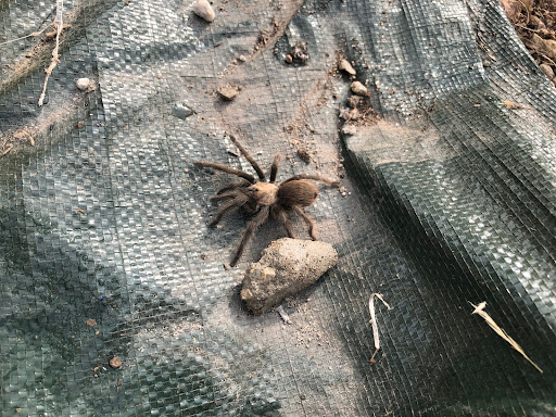 Wildcat Ranch 20250726 175259 001