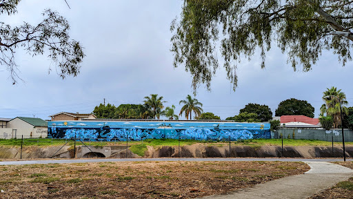 Willoughby Avenue Reserve 20250824 015557 001