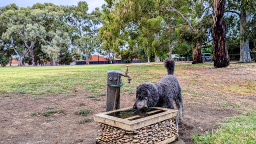 Willoughby Avenue Reserve 20250824 015559 004